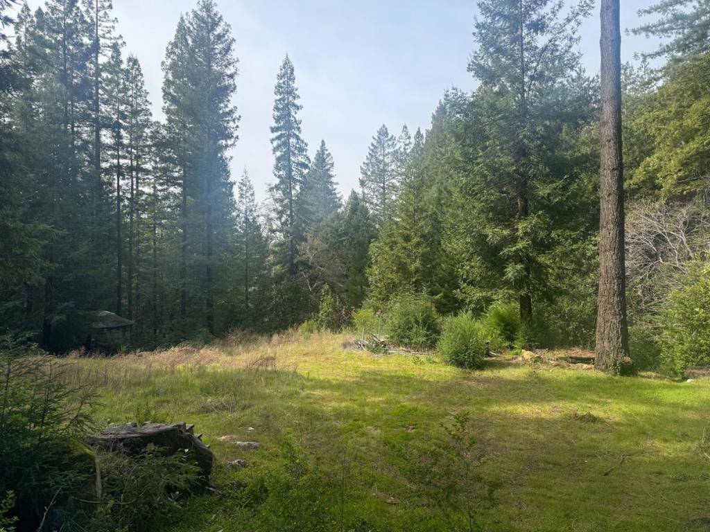 Boulder Creek, CA 95006,320 Timber Cove