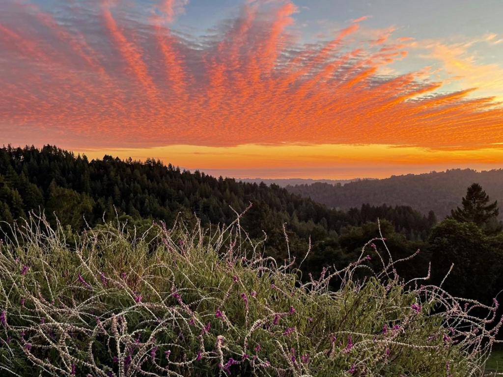 Corralitos, CA 95076,1584 Tindall Ranch RD
