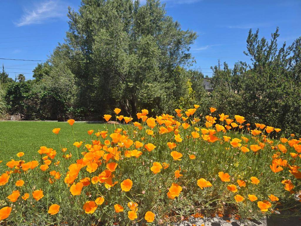 CA 93908,2 MESA DEL SOL