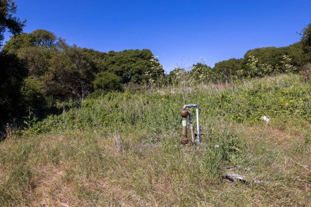 Castroville, CA 95012,0 Del Monte Farms RD