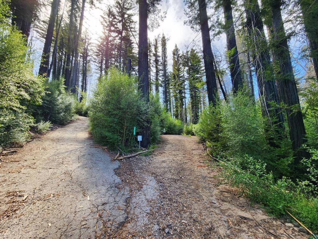 Boulder Creek, CA 95006,20604 Little Basin RD