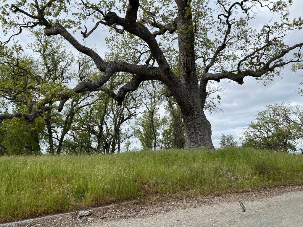 Carmel Valley, CA 93923,13 Long Ridge TRL