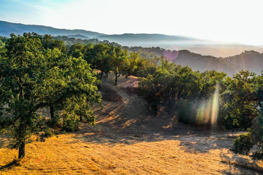 Carmel, CA 93923,21 Long Ridge TRL
