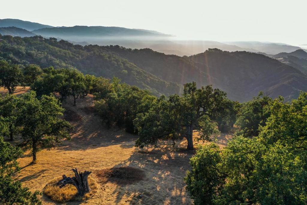 Carmel, CA 93923,21 Long Ridge TRL