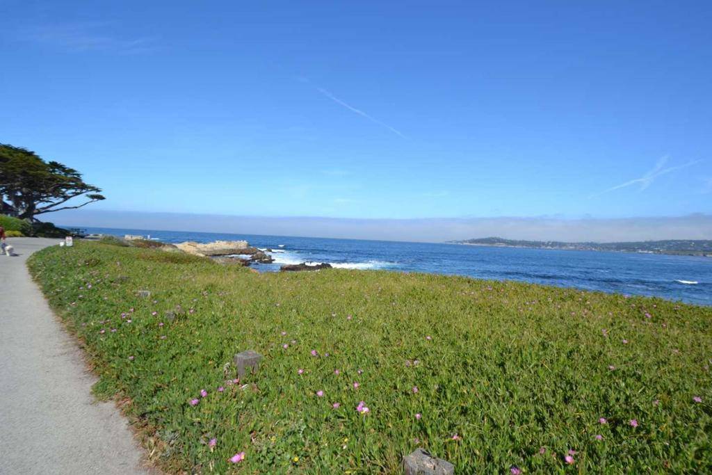 Carmel, CA 93923,0 Scenic RD