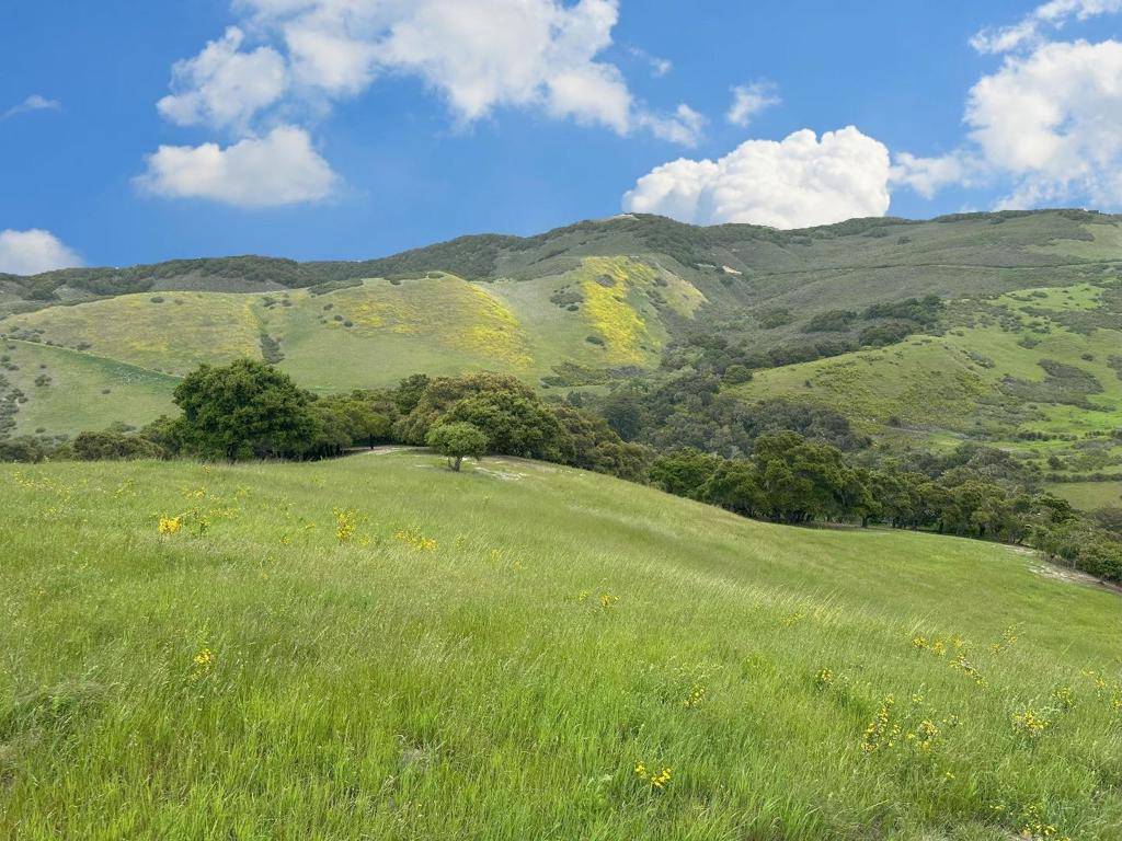 Carmel, CA 93923,29 Potrero TRL