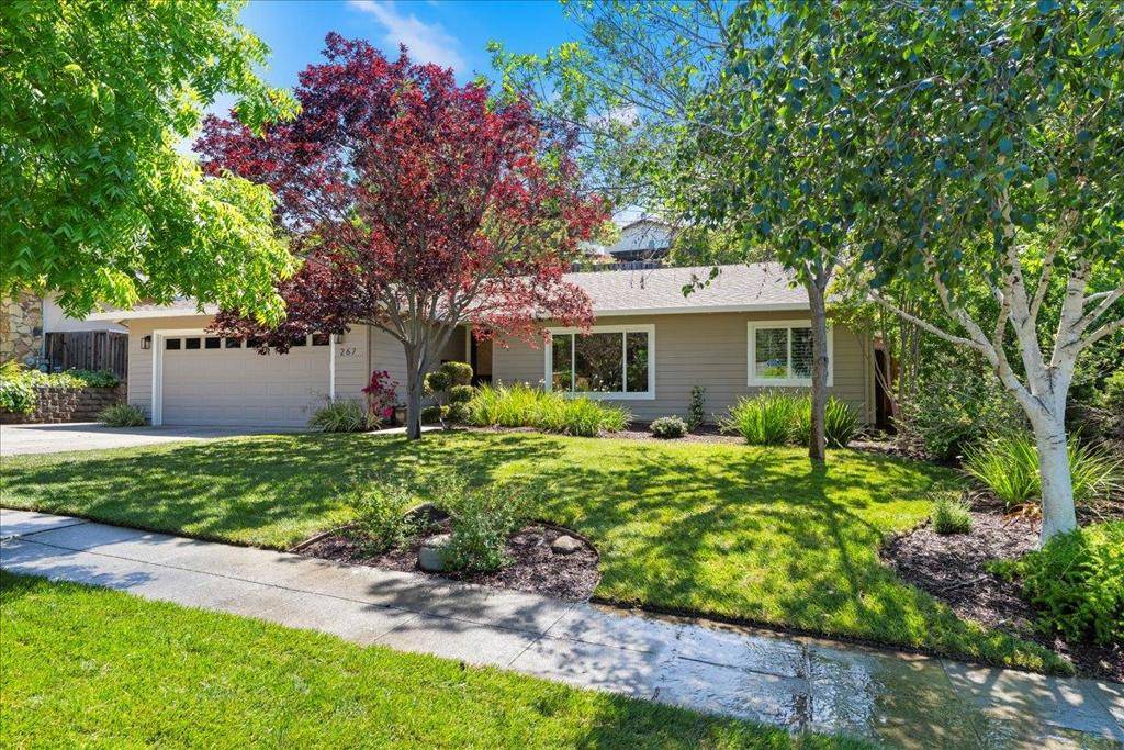 Los Gatos, CA 95032,267 More AVE
