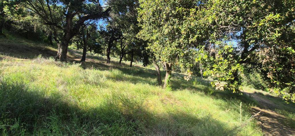 Greenfield, CA 93927,30010 Olivia DR