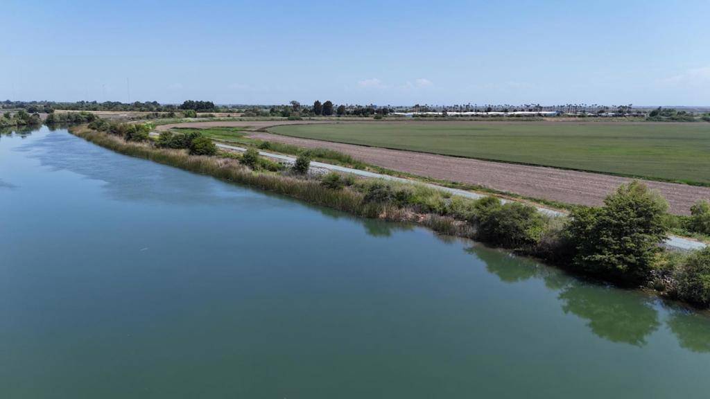 Isleton, CA 95641,0 Terminous RD