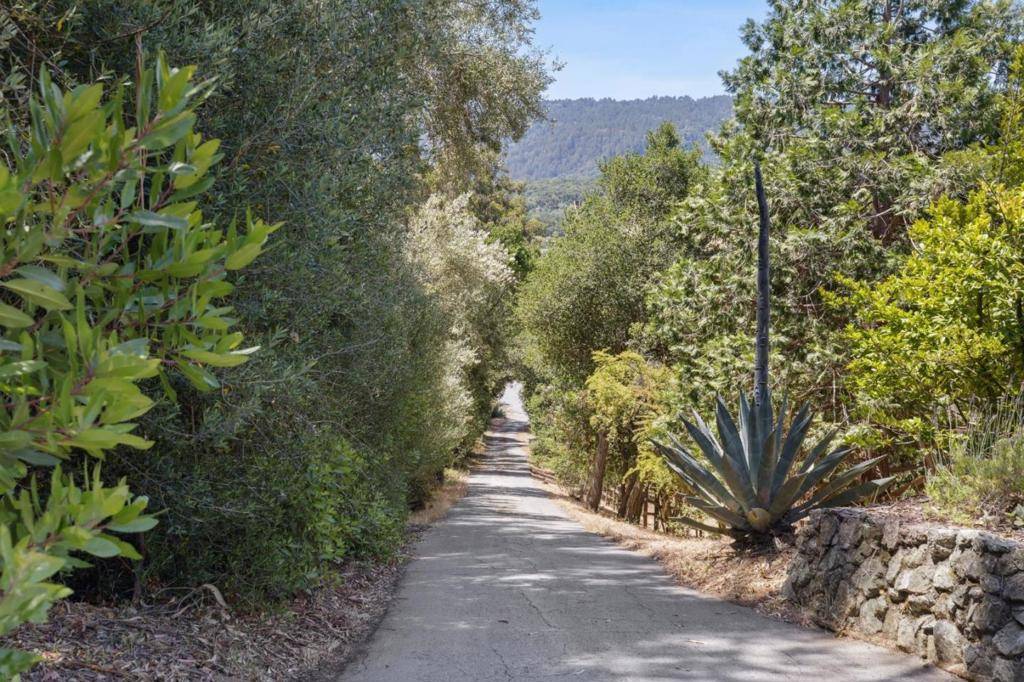 Woodside, CA 94062,1207 Godetia DR