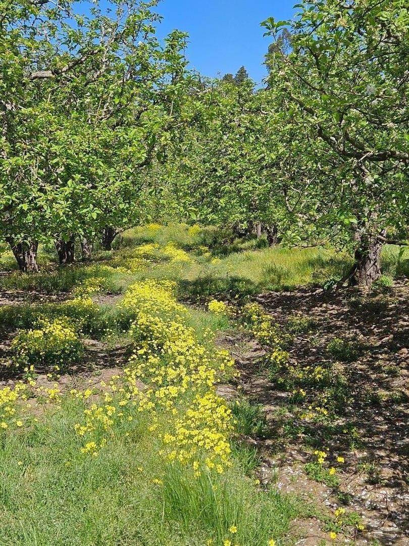 Corralitos, CA 95076,0 Storey RD