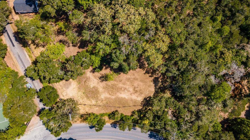 Woodside, CA 94062,966 Godetia DR