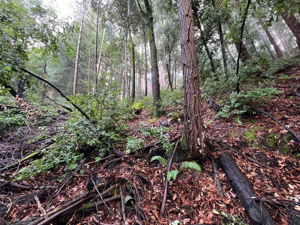 Scotts Valley, CA 95066,0 Deer Trail WAY