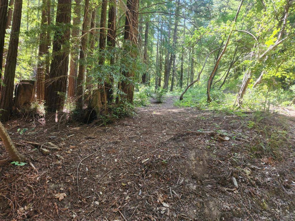 Los Gatos, CA 95033,0 Lost Valley