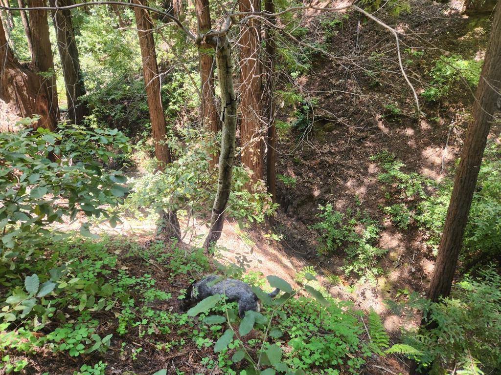 Los Gatos, CA 95033,0 Lost Valley