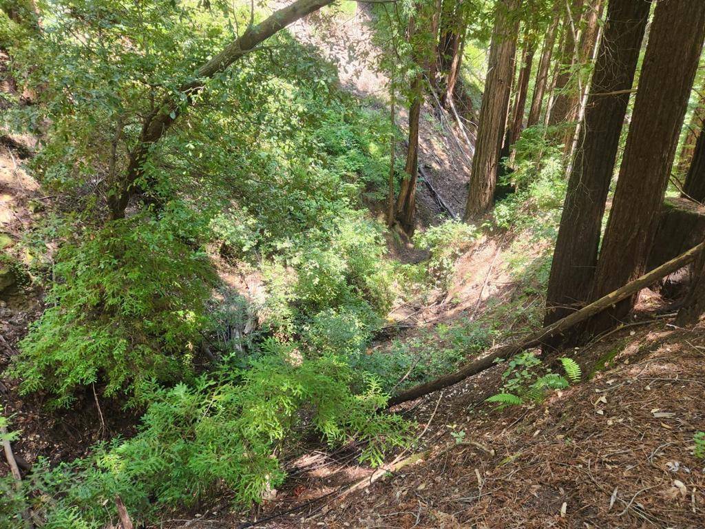 Los Gatos, CA 95033,0 Lost Valley