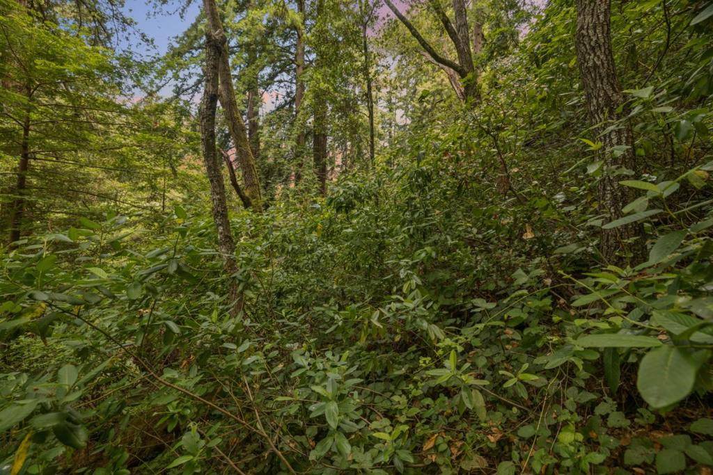 Aptos, CA 95003,Cathedral DR