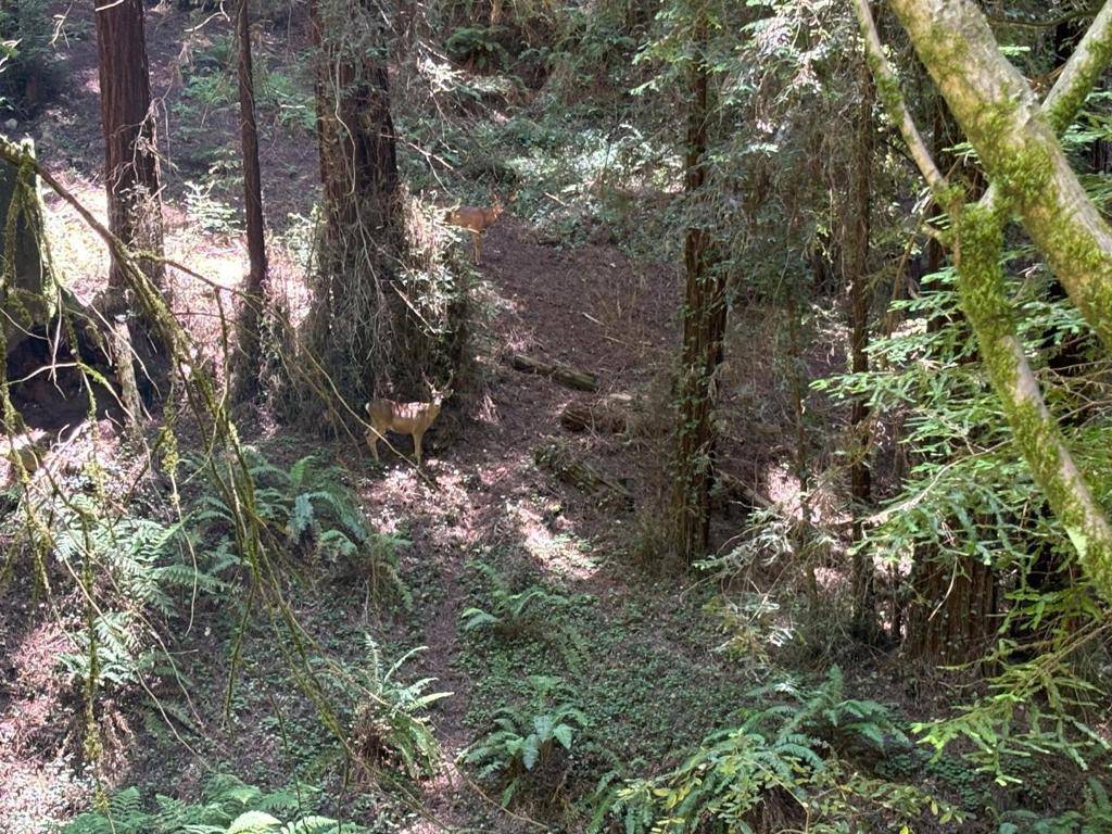 Watsonville, CA 95076,584 Hazel Dell RD