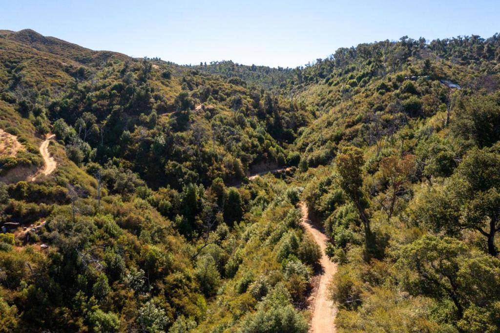 Carmel, CA 93923,37811 Palo Colorado RD