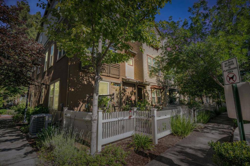 Sunnyvale, CA 94086,207 Peppermint Tree TER #4
