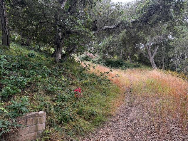 Salinas, CA 93907,18740 Pesante RD