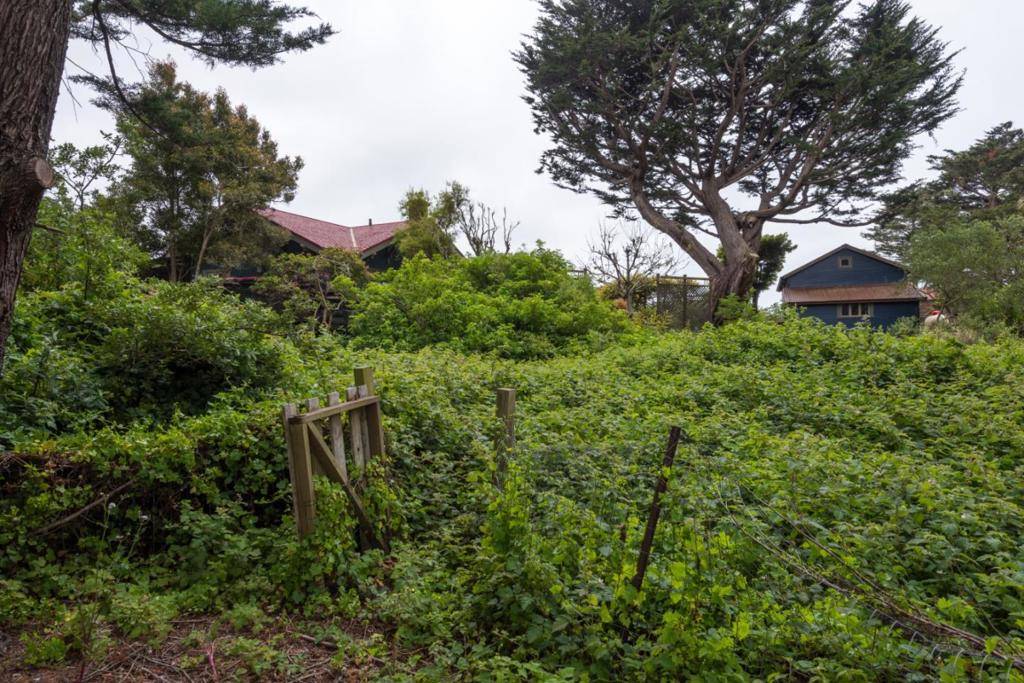 Moss Beach, CA 94038,0 Oak AVE