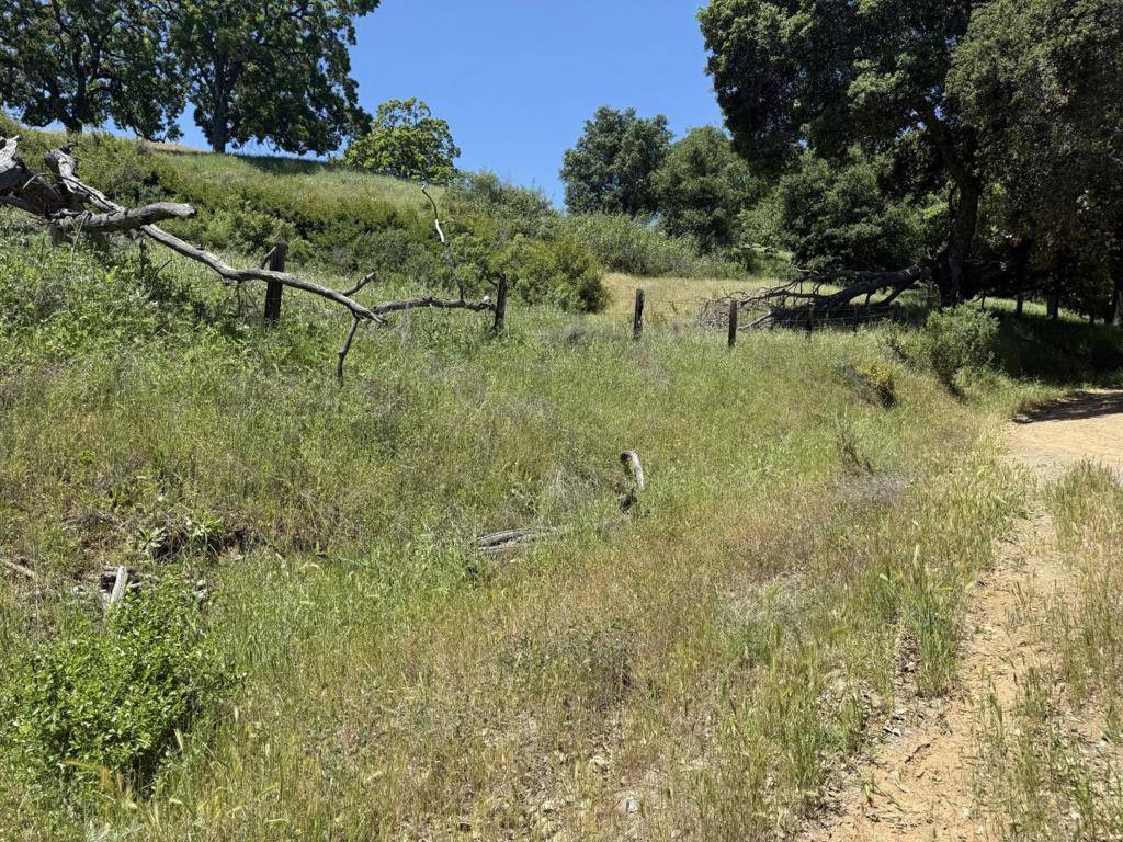 Morgan Hill, CA 95037,0 E Dunne AVE