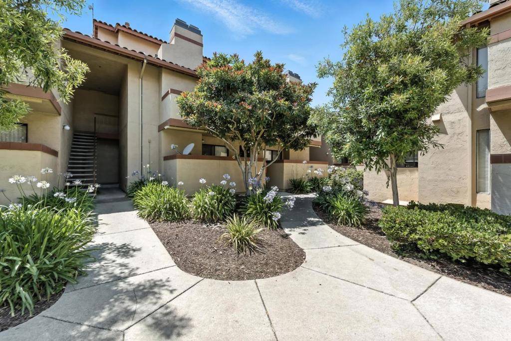 Cupertino, CA 95014,20676 Celeste CIR