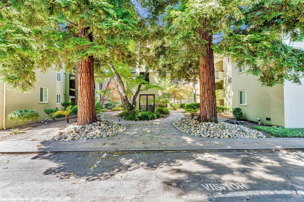 San Mateo, CA 94401,177 N El Camino Real #34