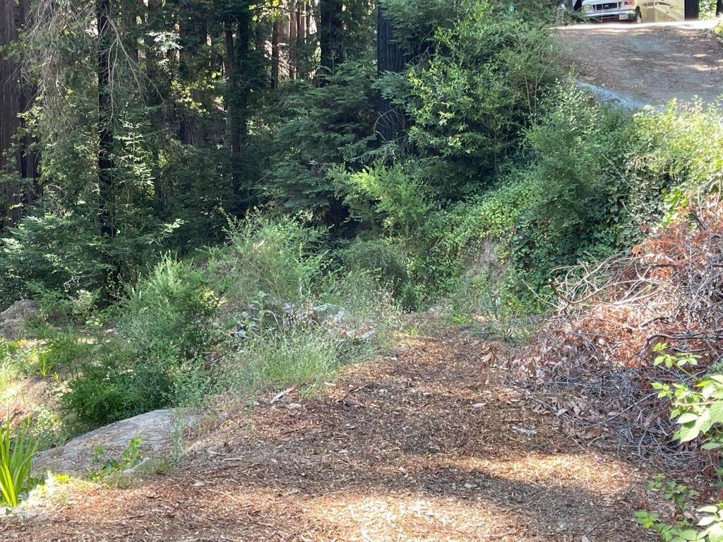 Boulder Creek, CA 95006,506 Sunset RD