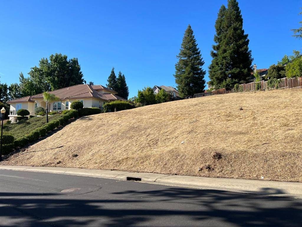 Folsom, CA 95630,102 Black Gold LN
