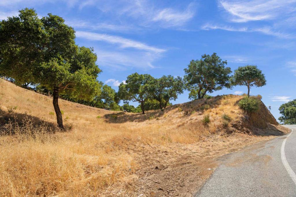 Los Altos, CA 94022,0 Moody RD