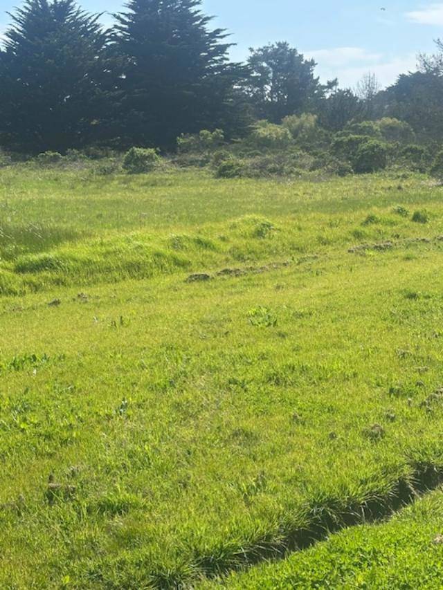 Half Moon Bay, CA 94019,100 Park