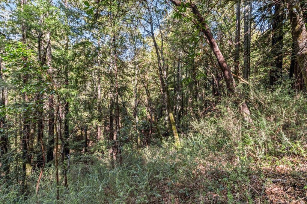 Felton, CA 95018,Desear