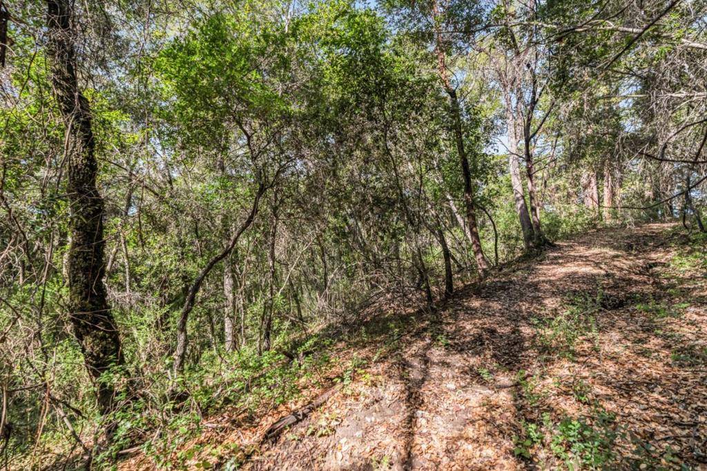 Felton, CA 95018,Madrone AVE