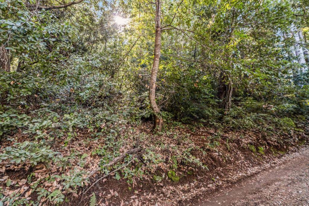 Felton, CA 95018,Vera AVE