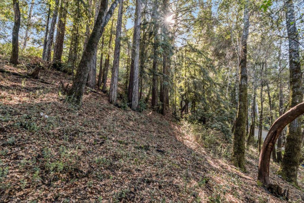 Felton, CA 95018,Volver AVE