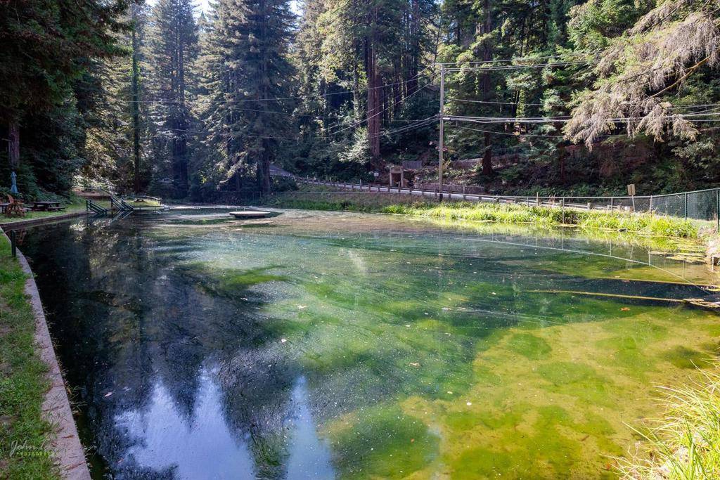 Felton, CA 95018,105 William WAY