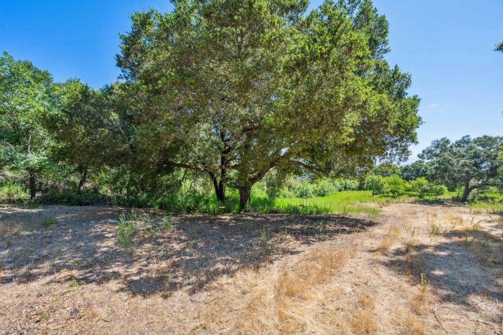 Los Gatos, CA 95030,0 Montevina RD