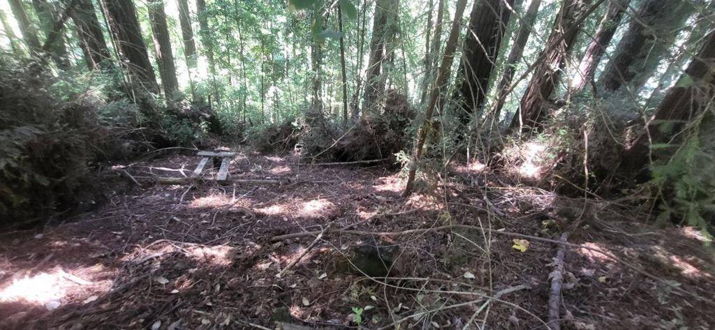 Boulder Creek, CA 95006,1080 Blue Ridge DR