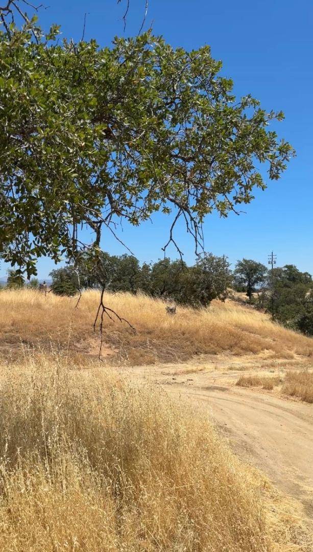 Coarsegold, CA 93614,41176 Lilley Mountain DR
