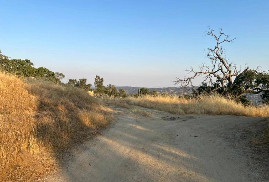 Coarsegold, CA 93614,41176 Lilley Mountain DR