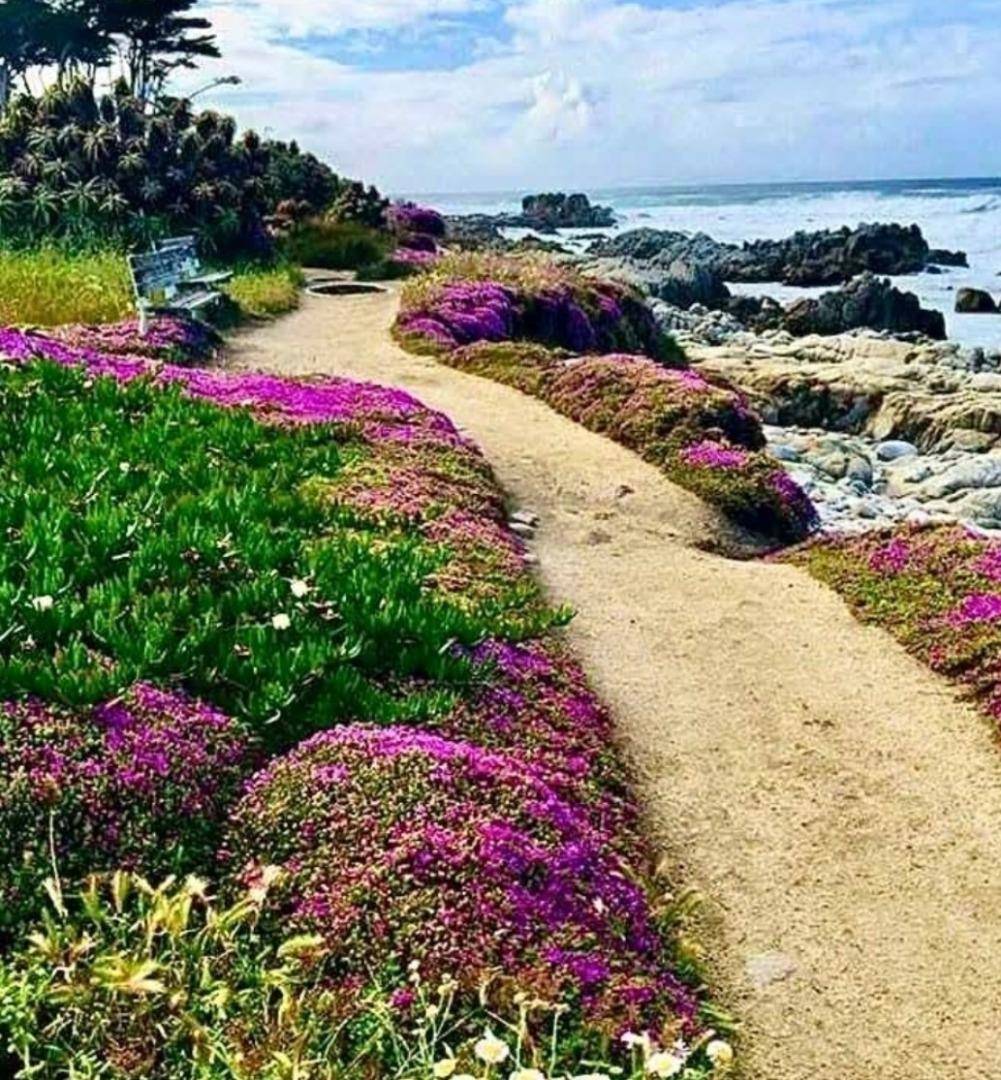 Pacific Grove, CA 93950,705 Union ST