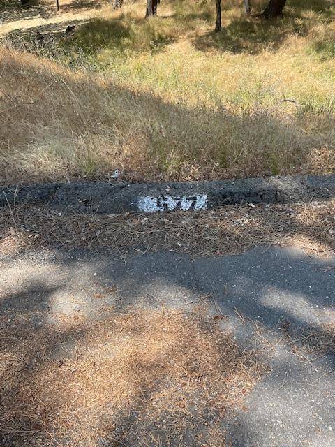 Oroville, CA 95966,582 Silver Leaf DR