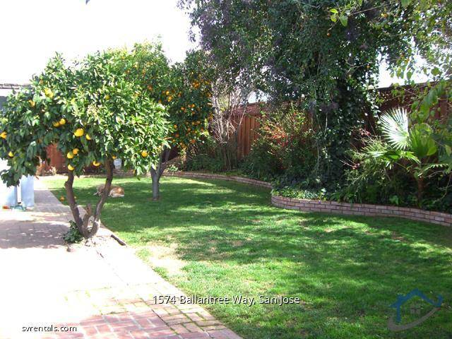 San Jose, CA 95118,1574 Ballantree WAY #2