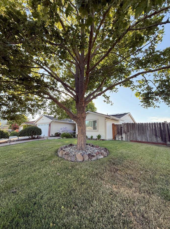 San Ramon, CA 94583,3179 Christopher WAY