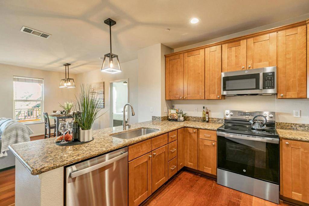 San Jose, CA 95128,1445 FRUTIDALE AVE #217
