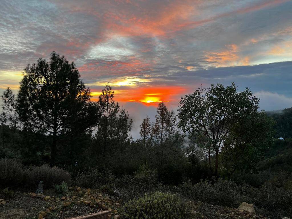 Watsonville, CA 95076,580 Russell Ridge