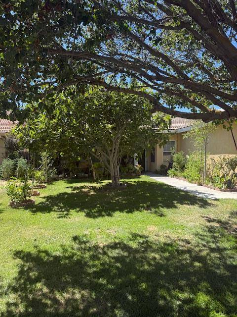 Los Banos, CA 93635,355 Chestnut ST