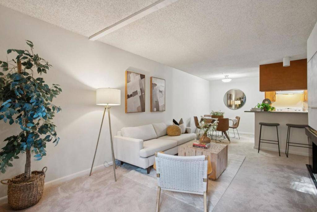 Daly City, CA 94015,357 Half Moon LN #12